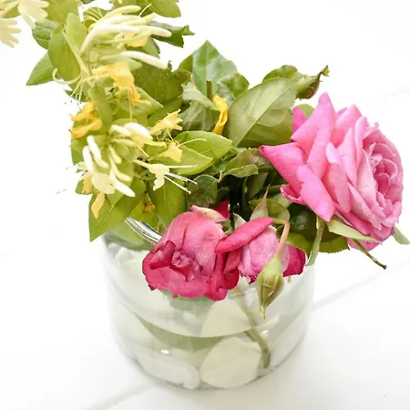 Konukevi Patmos Bay Sapsila