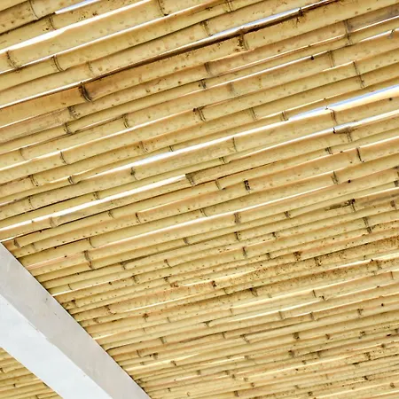 Patmos Bay Πανσιόν